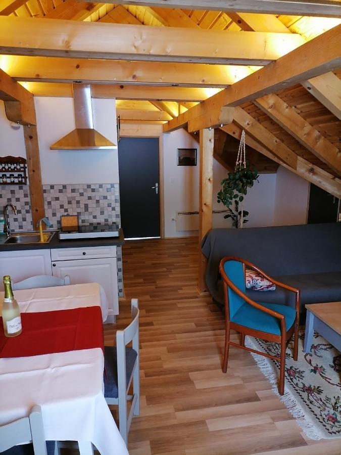 Apartman Tonka Otočac Екстериор снимка